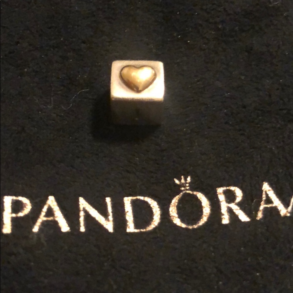 Pandora Two Tone Charm